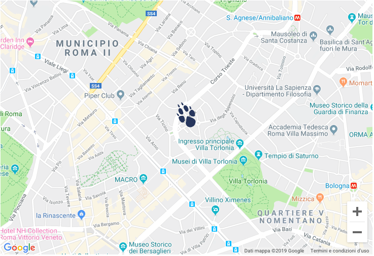 Foxtrail