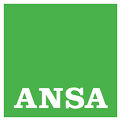 ansa